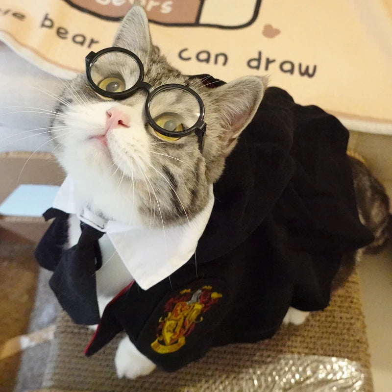Funny Pet Cat Hat Gentleman's Hat Beret Tie Bathing Blood Gangster Handsome Cosplay Photo Prop Pet Halloween Costume