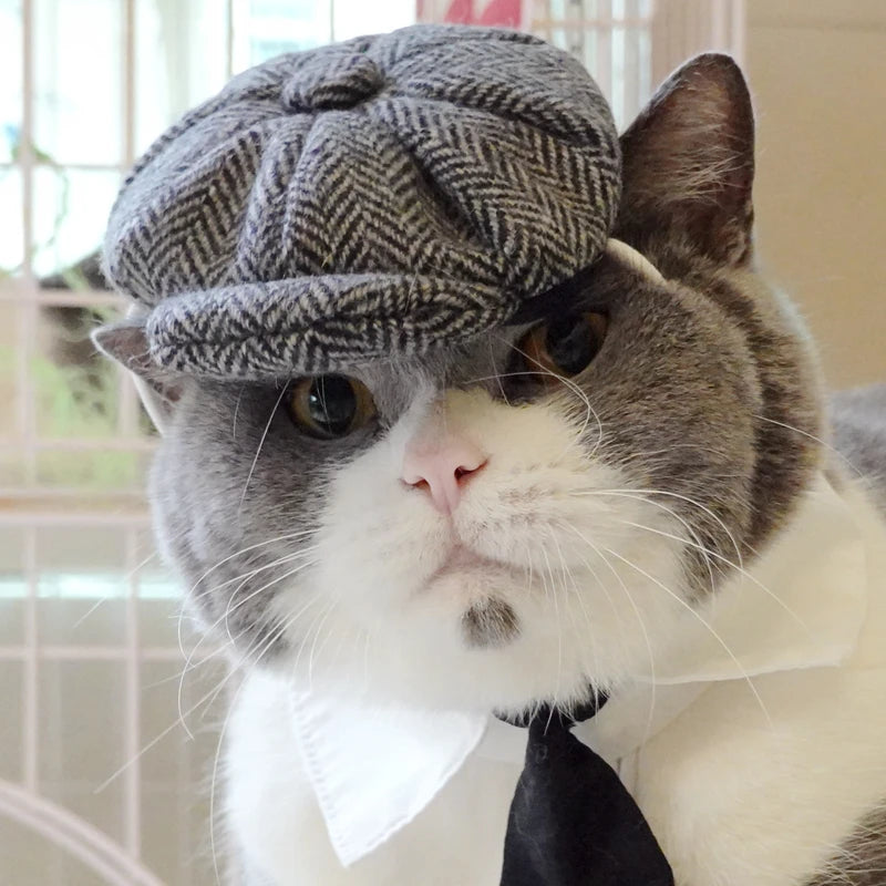 Funny Pet Cat Hat Gentleman's Hat Beret Tie Bathing Blood Gangster Handsome Cosplay Photo Prop Pet Halloween Costume