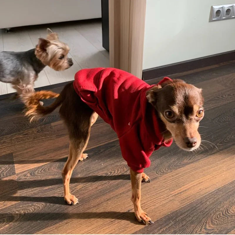 Solid Dog Hoodies Pet Clothes for Small Dogs Puppy Coat Jackets Sweatshirt for Chihuahua Doggie Cat Costume Cotton Pet Outfits