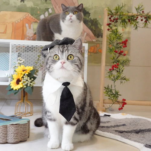 Funny Pet Cat Hat Gentleman's Hat Beret Tie Bathing Blood Gangster Handsome Cosplay Photo Prop Pet Halloween Costume