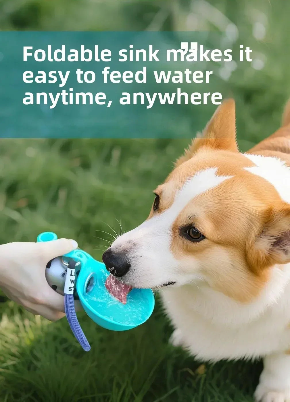2-in-1 Hunde-Trinkflasche
Wasserflasche mit integriertem Napf
für Spaziergänge, Wanderungen und Reisen